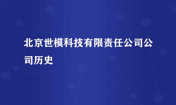 北京世模科技有限责任公司公司历史