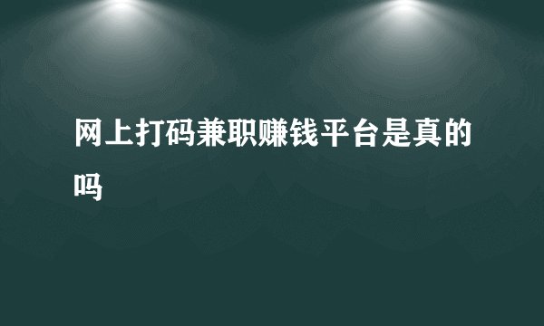 网上打码兼职赚钱平台是真的吗