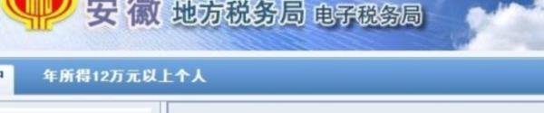 安徽如何网上税务申报