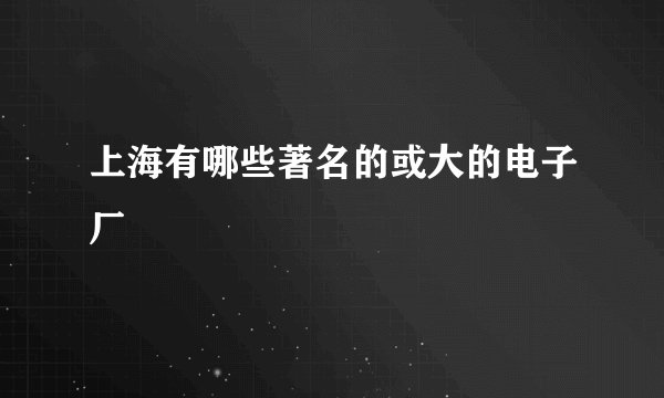 上海有哪些著名的或大的电子厂