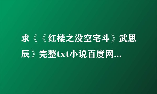 求《《红楼之没空宅斗》武思辰》完整txt小说百度网盘下载链接
