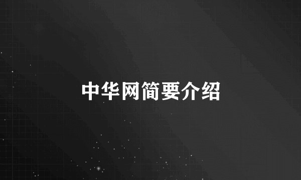 中华网简要介绍