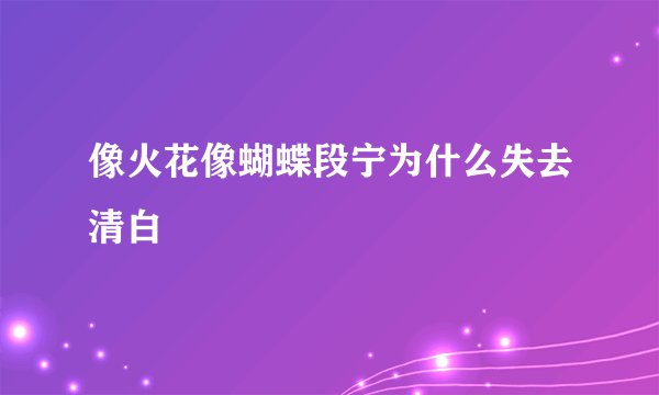 像火花像蝴蝶段宁为什么失去清白
