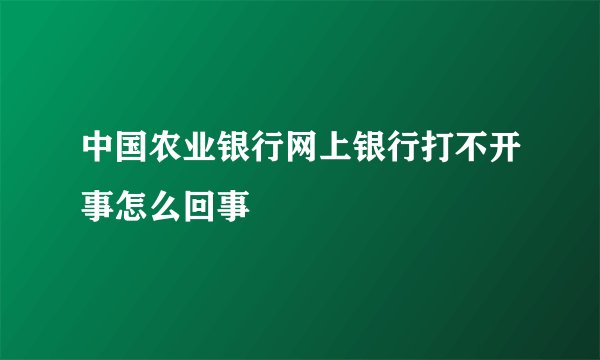 中国农业银行网上银行打不开事怎么回事