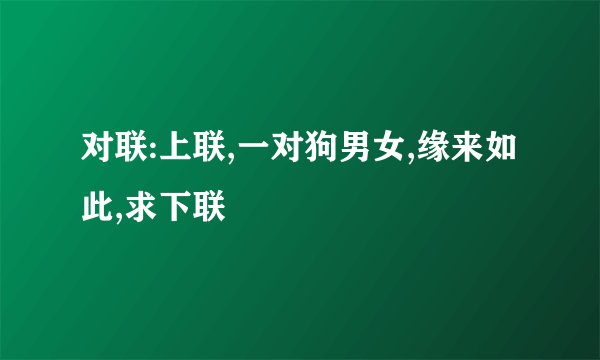 对联:上联,一对狗男女,缘来如此,求下联