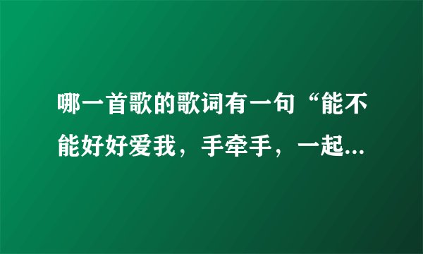 哪一首歌的歌词有一句“能不能好好爱我，手牵手，一起走”麻烦哪位知道的，请告诉我！！！