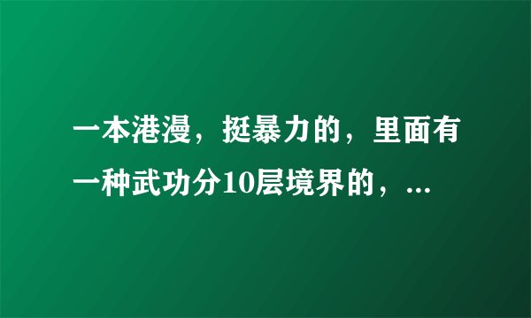 一本港漫，挺暴力的，里面有一种武功分10层境界的，求那本书名字。。