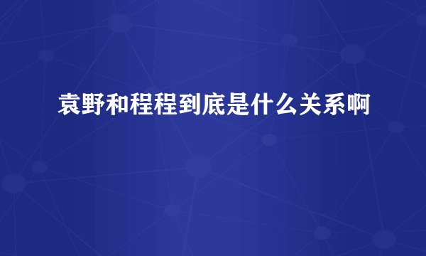 袁野和程程到底是什么关系啊