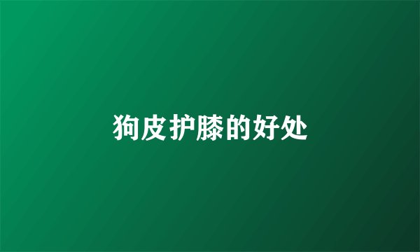 狗皮护膝的好处