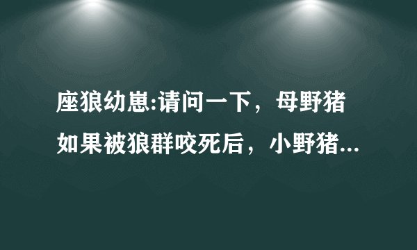 座狼幼崽:请问一下，母野猪如果被狼群咬死后，小野猪怎么存活下来？