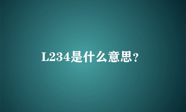 L234是什么意思？