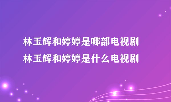 林玉辉和婷婷是哪部电视剧 林玉辉和婷婷是什么电视剧