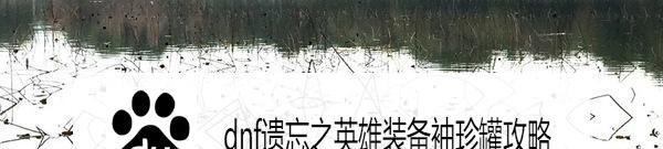 dnf遗忘之英雄装备袖珍罐攻略