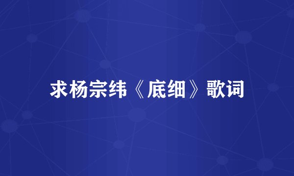 求杨宗纬《底细》歌词