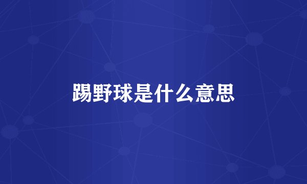 踢野球是什么意思