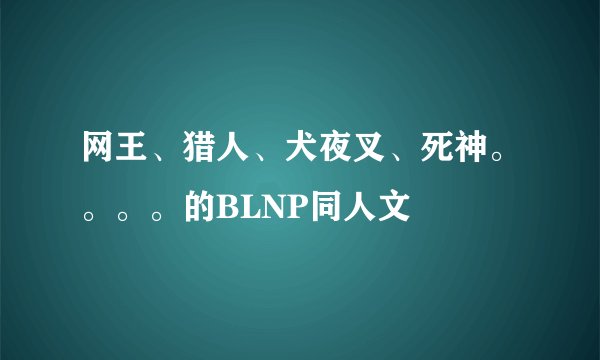 网王、猎人、犬夜叉、死神。。。。的BLNP同人文