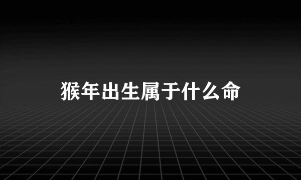 猴年出生属于什么命