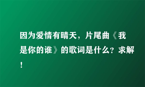 因为爱情有晴天，片尾曲《我是你的谁》的歌词是什么？求解！