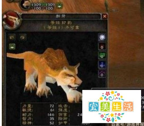 怀旧服lr宝宝怎么选择