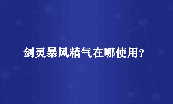 剑灵暴风精气在哪使用？