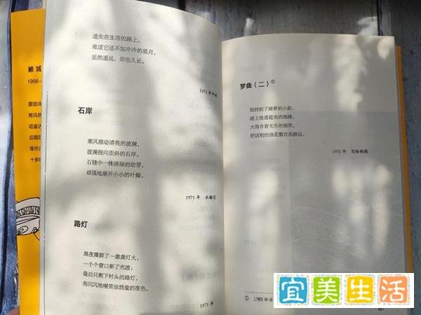 顾城诗集《是树木游泳的力量》:一半是天才,一半是疯子