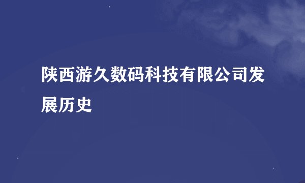 陕西游久数码科技有限公司发展历史