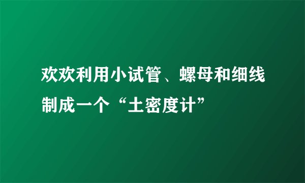欢欢利用小试管、螺母和细线制成一个“土密度计”