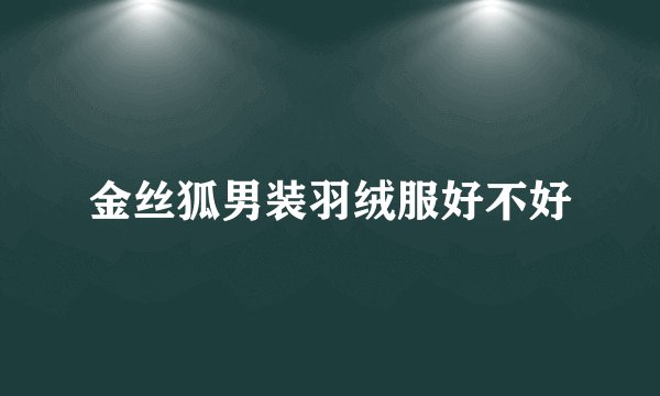 金丝狐男装羽绒服好不好