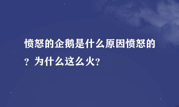愤怒的企鹅是什么原因愤怒的？为什么这么火？