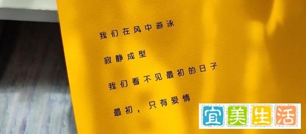 顾城诗集《是树木游泳的力量》:一半是天才,一半是疯子
