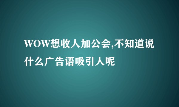 WOW想收人加公会,不知道说什么广告语吸引人呢