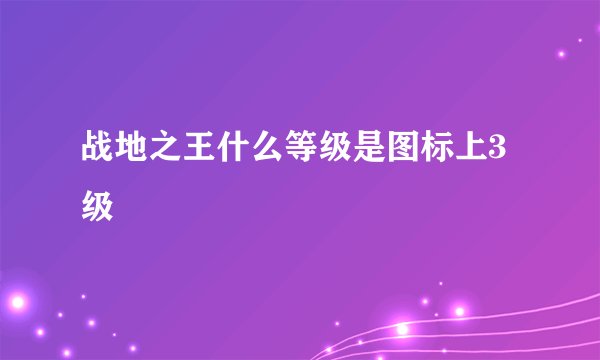 战地之王什么等级是图标上3级