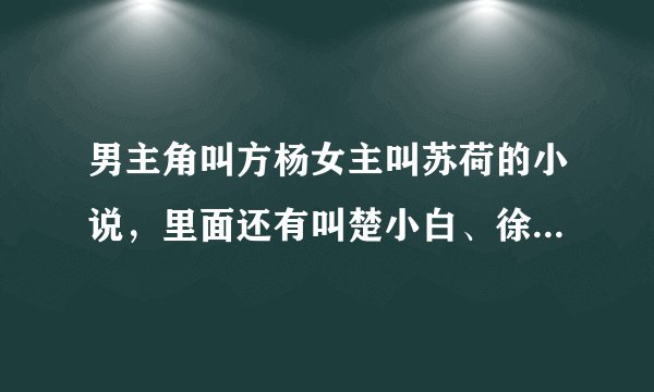 男主角叫方杨女主叫苏荷的小说，里面还有叫楚小白、徐清雅、方乔的？