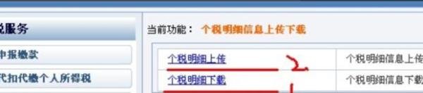 安徽如何网上税务申报