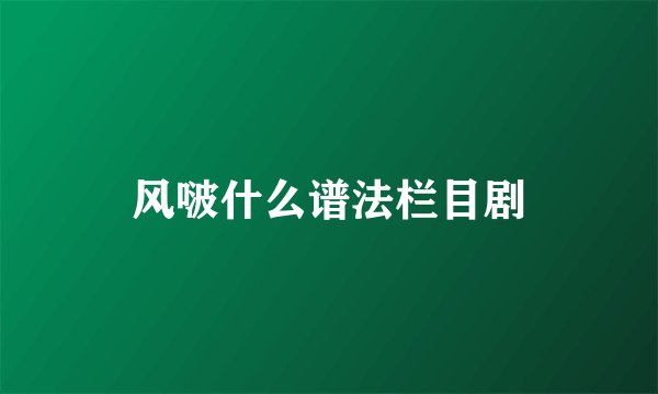 风啵什么谱法栏目剧