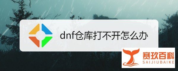 dnf仓库打不开怎么办