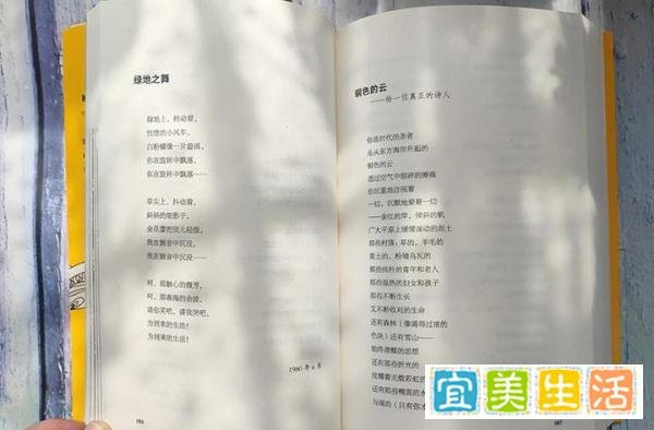 顾城诗集《是树木游泳的力量》:一半是天才,一半是疯子