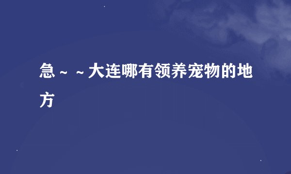 急～～大连哪有领养宠物的地方