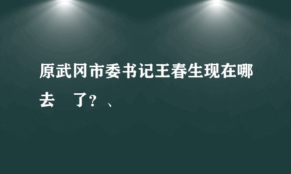 原武冈市委书记王春生现在哪去了？、