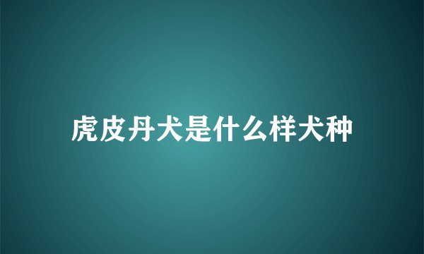虎皮丹犬是什么样犬种