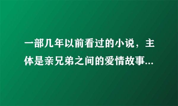 一部几年以前看过的小说，主体是亲兄弟之间的爱情故事，弟弟喜欢哥哥