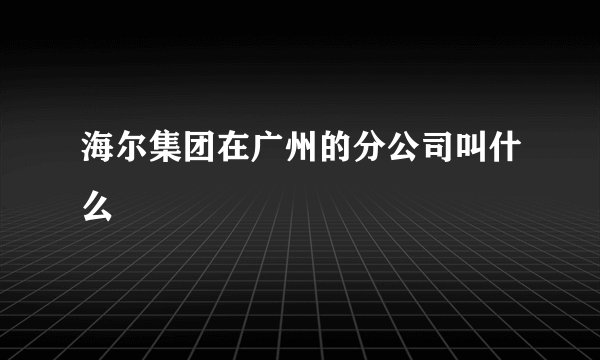 海尔集团在广州的分公司叫什么