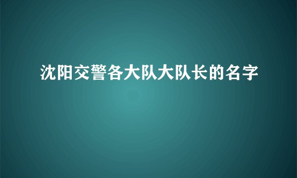 沈阳交警各大队大队长的名字
