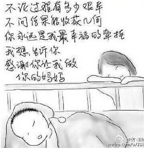 兜宝的不幸逝世