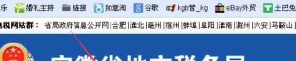 安徽如何网上税务申报