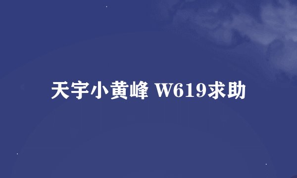 天宇小黄峰 W619求助