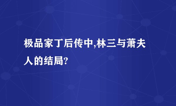 极品家丁后传中,林三与萧夫人的结局?