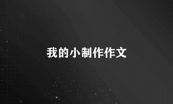 我的小制作作文