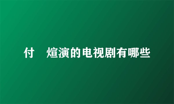 付煣煊演的电视剧有哪些