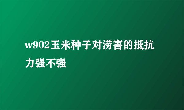 w902玉米种子对涝害的抵抗力强不强